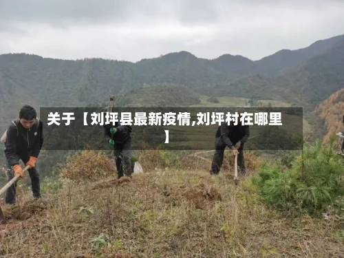 关于【刘坪县最新疫情,刘坪村在哪里】-第1张图片