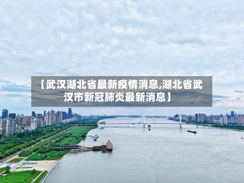 【武汉湖北省最新疫情消息,湖北省武汉市新冠肺炎最新消息】-第3张图片