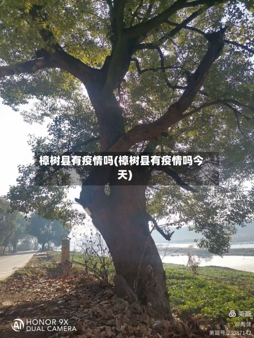樟树县有疫情吗(樟树县有疫情吗今天)-第3张图片