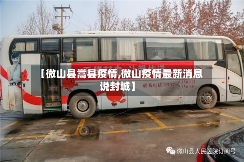 【微山县嵩县疫情,微山疫情最新消息说封城】-第1张图片