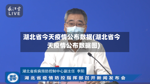 湖北省今天疫情公布数据(湖北省今天疫情公布数据图)-第2张图片