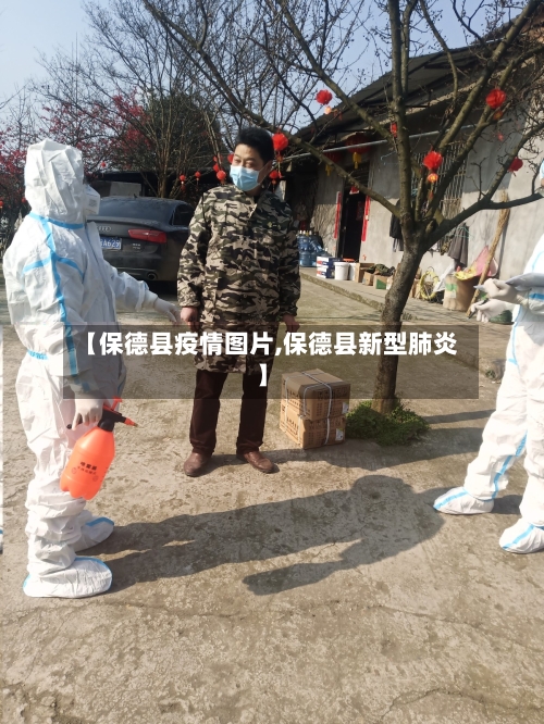 【保德县疫情图片,保德县新型肺炎】-第1张图片