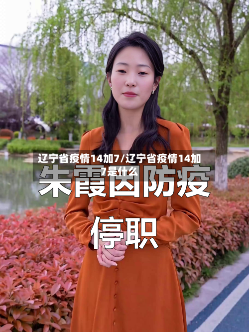 辽宁省疫情14加7/辽宁省疫情14加7是什么-第1张图片
