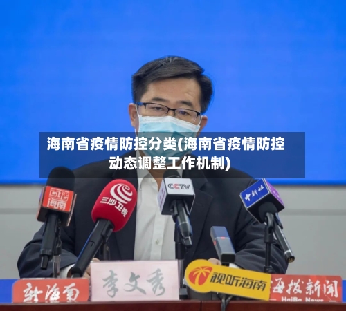海南省疫情防控分类(海南省疫情防控动态调整工作机制)-第1张图片