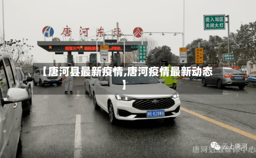 【唐河县最新疫情,唐河疫情最新动态】-第2张图片
