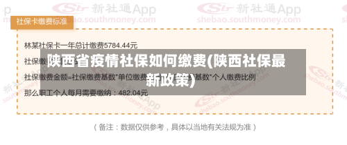 陕西省疫情社保如何缴费(陕西社保最新政策)-第1张图片