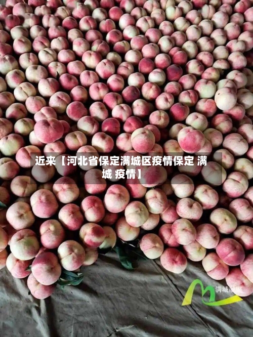 近来【河北省保定满城区疫情保定 满城 疫情】-第2张图片