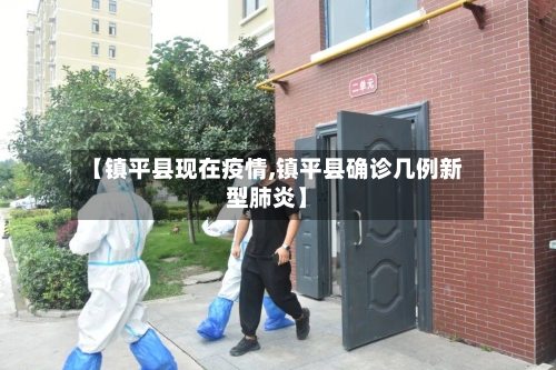 【镇平县现在疫情,镇平县确诊几例新型肺炎】-第2张图片