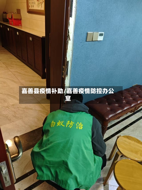 嘉善县疫情补助/嘉善疫情防控办公室-第1张图片