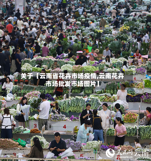 关于【云南省花卉市场疫情,云南花卉市场批发市场图片】-第1张图片