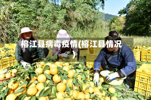 榕江县病毒疫情(榕江县情况)-第3张图片