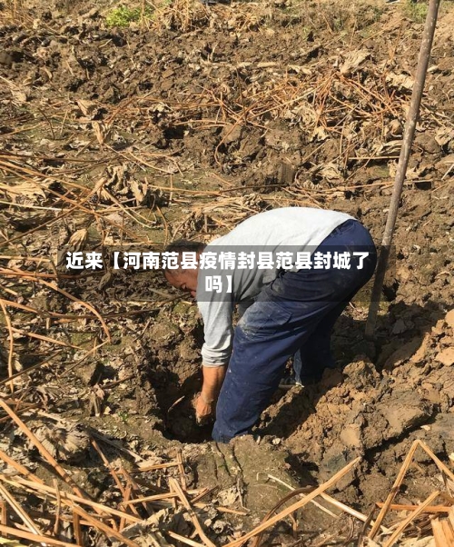 近来【河南范县疫情封县范县封城了吗】-第1张图片