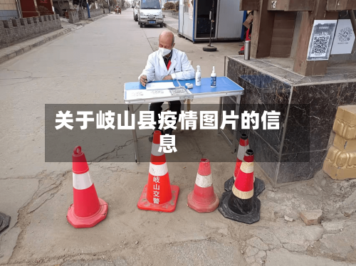 关于岐山县疫情图片的信息-第1张图片