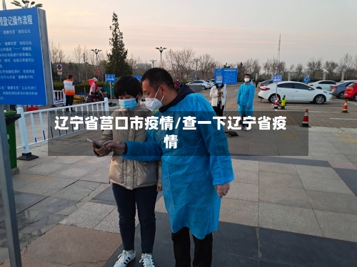 辽宁省莒口市疫情/查一下辽宁省疫情-第2张图片