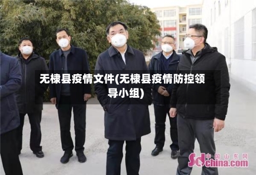 无棣县疫情文件(无棣县疫情防控领导小组)-第1张图片