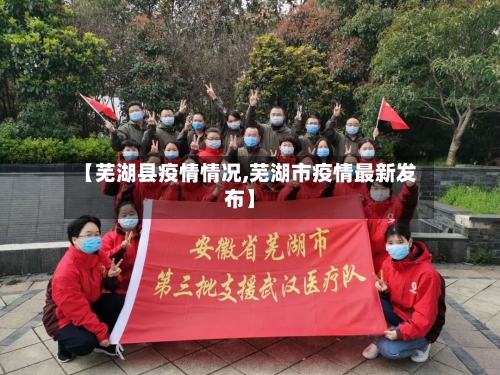 【芜湖县疫情情况,芜湖市疫情最新发布】-第2张图片
